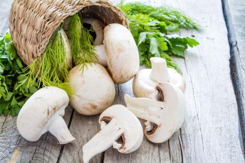 痛风患者为什么不能够吃鲜美的蘑菇？
