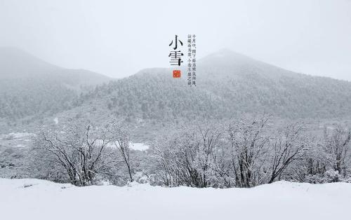 小雪天气逐渐寒冷，该吃些什么提高自身免疫力呢？