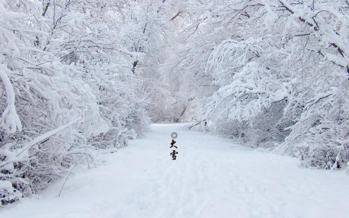 大雪进补不要马虎，这9道养生食谱满足你的健康需求！