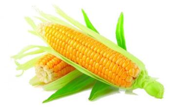 小小粗粮之玉米 大大功效保健康