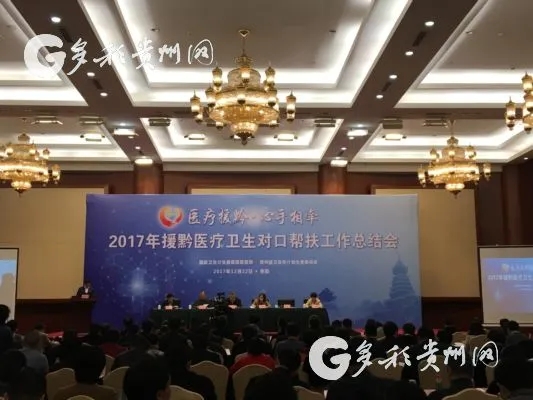 2017年援黔医疗卫生对口帮扶工作总结会（图片来源：多彩贵州网）